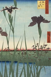 Horikiri-Irisgarten, aus der Serie Einhundert berühmte Ansichten von Edo